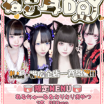 【イベントのお知らせ】ねこ耳DAY開催です！！